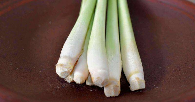 Pixabay/wonderfulbali